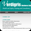 Verdigris Business Solutions Ltd